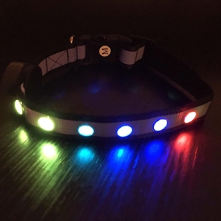 Hundehalsbånd med multilys